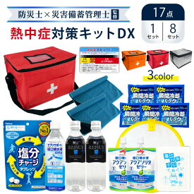 熱中症対策キット DX 17点セット クーラーバッグ 応急処置セット デラックス 熱中症対策グッズ 瞬間冷却剤 水分補給 ゼリー ドリンク 塩分チャージ タブレット 冷却タオル 経口補水液 水 熱中症予防カード 工事現場 ATDX001