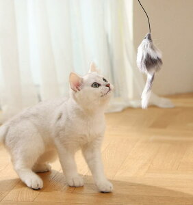 L L{[ 3[h dybg lŗVׂ {\h OoɔLƗVԂ̂ɍœK (_[NO[)