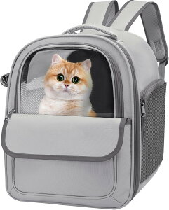 y3WAY}`L[zybgp bN^ ^ obO y ܂肽݉\ L ^  Ή