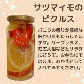 M SOLE 京都・福知山 ピクルス 160ml 国産 漬物 酢漬け 保存食品