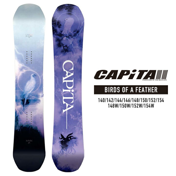 楽天市場】2023-24 CAPITA BIRDS OF A FEATHER キャピタ バードオブ 
