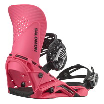 楽天市場】23-24 salomon hologramの通販