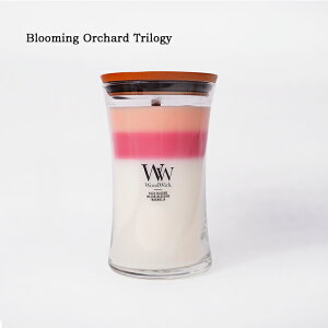 EbhEBbN [W A[OX Lh n[XEBbN WoodWick Large Hourglass Candles ؐc 낤 A}Lh