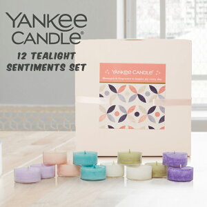�����L�[�L�����h�� �e�B�[���C�g�L�����h�� �Z���`�����c�Z�b�g YANKEE CANDLE 12 Tealight Sentiments Set 12����