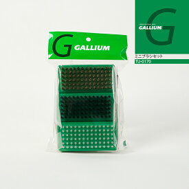 ガリウム GALLIUM ミニブラシセット 各/48×96×32mm TU-0170 スノーボード スキー メンテナンス用品 チューニング 日本正規品