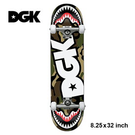【コンプリート】DGK PILOT TEAM 8.25 × 32.0 Inch ディージーケー パイロット スケートボード スケボー