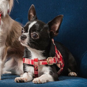 p ^ n[lX WG[^C v nv gp ㎿ i OWA[ ^C ˔`[t U[   NowFountain iEAht@Ee {fBxg