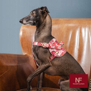 p n[lX WG[^C v nv gp ㎿ i X^CbV ^C ˔`[t U[   NowFountain iEAht@Ee {fBxg C^C