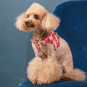 p n[lX WG[^C v nv gp ㎿ i X^CbV ^C ˔`[t U[   NowFountain iEAht@Ee {fBxg B^C