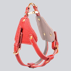 p n[lX C^AU[ v nv WG[Xg[ S[hp[c TCY߉\ ˔`[t ㎿ i OWA[   NowFountain iEAht