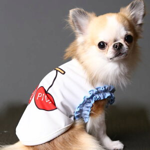   t ^ FRUIT COOL ^Ngbv UVJbg hH _j\h \h ̊ Sf  {  tt K[[ ` [L[ GODPIVA COOL