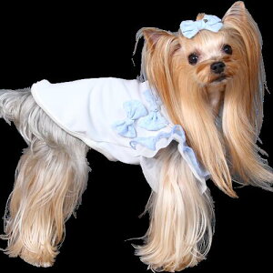   t ^ K[[ MK COOL ^Ngbv UVJbg hH _j\h \h ̊ Sf  {  tt K[[ ` [L[ GODPIVA COOL