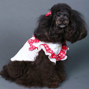   t ^ K[[ MK COOL ^Ngbv UVJbg hH _j\h \h ̊ Sf  {  tt K[[ ` [L[ GODPIVA COOL