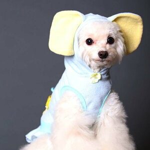   hbOEFA s 킢 pCn t[ht ^ ` gCv[h _bNX ( CG[ / sN / u[ ) GODPIVA Sbhso pC񃏃s[X TCYFXXS`L / 3