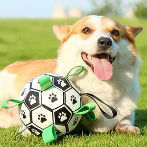  ybg  hbOgC e[v ^O  ϐ ϖՐ VRS lRbg C  v[ V pNɂ ɕ M-PETS Gybc hbOgC TbJ[{[