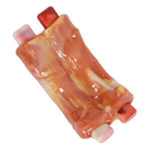  ybg  hbOgC x[R̍ f^gC 2̊ݐSn M-PETS Gybc CARNIVOREhbOgC XyAu