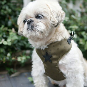  n[lX  U J H  킢 SȂ bV  DEOEG  vgn[lX fB[EI[EW[