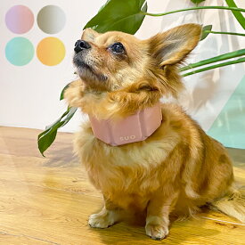 犬 ペット用 夏 ひんやり クール ダウン 首 バンド 熱中症対策 暑さ対策 BIO原料使用 リユース 繰り返し使用可 28℃以下 自然凍結 SUO 256 ICE for dogs SUO BAND gradation スオ256アイスフォードッグ スオバンド グラデーション 全4色