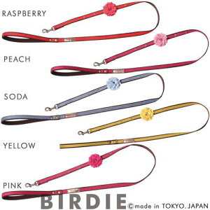  ybg [h U 킢  ^p  NbV BIRDIE o[fB _Ã[h