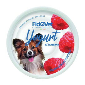犬 犬用 夏 おやつ ご褒美 冷たい おうちで作る 簡単 ヨーグルト クールダウン 水分補給 FidOVet フィドベットヨーグルト ラズベリー
