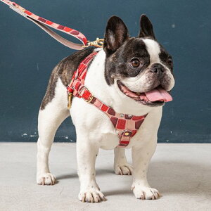 p n[lX WG[^C v nv gp ㎿ i X^CbV ^C ˔`[t U[   NowFountain iEAht@Ee {fBxg A^C