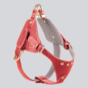 p n[lX C^AU[ v nv WG[Xg[ S[hp[c TCY߉\ ˔`[t ㎿ i OWA[   NowFountain iEAht