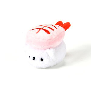   ʂ   i  CV Solgra \O ՂՂÂ