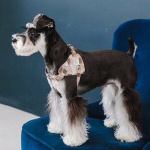 p  n[lX C^AU[ v nv ^CU[ WG[Xg[ S[hp[c OWA[   NowFountain iEAht@Ee {fBxg B^