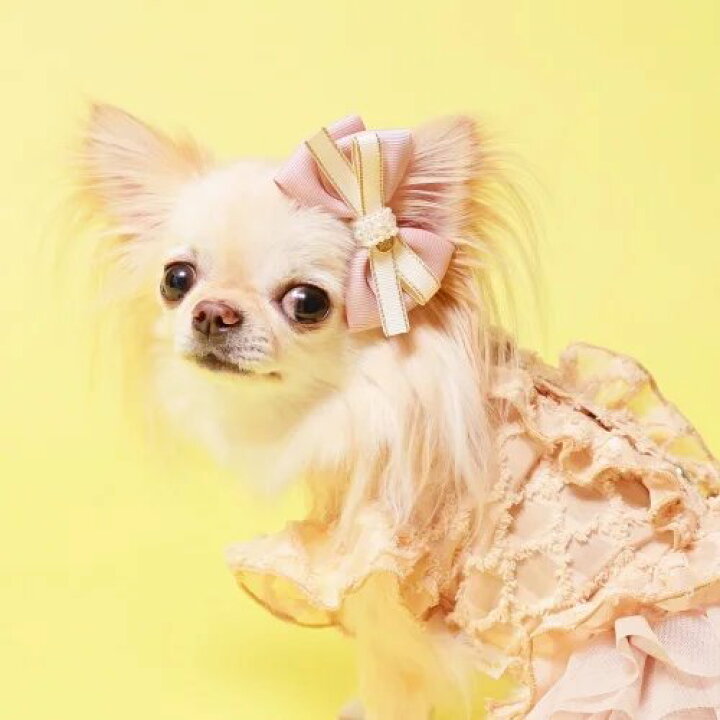 楽天市場】犬 犬用 ヘア アクセサリー バレッタ りぼん かわいい 