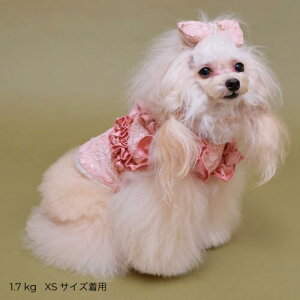  p n[lX m [X Tet {An EN` }WbNe[v GODPIVA [V[t[{An[lX Sbhso