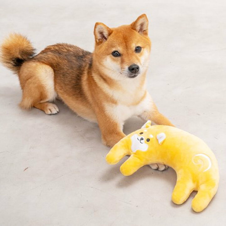 楽天市場】犬 犬用 枕 あご置き アゴ乗せ かわいい Solgra ソルグラ 