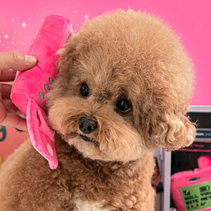  ybg  hbOgC ʂ mgC m[Y[N d| BITE ME oCg~[ gtH[