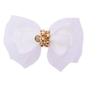 yGODPIVAzӂI[KW[ob^mSbhsonp wA ANZT[ ڂ 킢  т܂ɂ