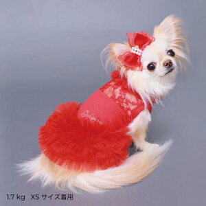 yGODPIVAzuCg[Xs[XmSbhson  hbOEFA 킢  `[ XEF[h