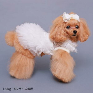 yGODPIVAzuCg[Xs[XmSbhson  hbOEFA 킢  `[ XEF[h