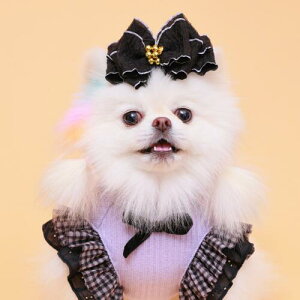 yGODPIVAzキBIG{ob^mSbhsonp wA ANZT[ ڂ 킢  т܂ɂ