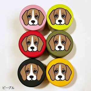 yDEOEGzDOGv`ʃP[X r[O 6F [fB[EI[EW[] p   e v[g vP[X