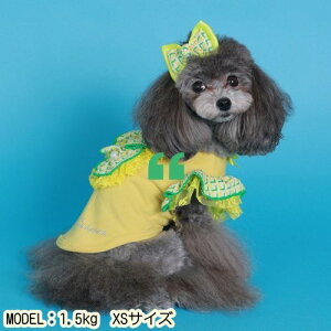 yGODPIVAzrXt^NmSbhson  hbOEFA ^Ngbv XEF[hn WK[hn t S[WX