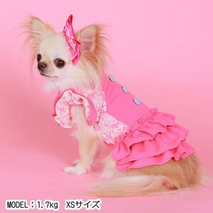 yGODPIVAzg[Xs[XmSbhson  hbOEFA 60N t { 킢