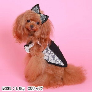 yGODPIVAzg[X^NmSbhson  hbOEFA ^Ngbv 60N t 킢