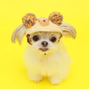 yGODPIVAz܂||LbvmSbhsonp Xq 킢  O΍ UVJbg TCY