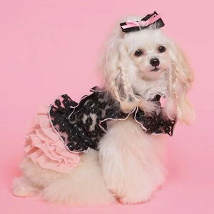 yGODPIVAzJ[t[s[XmSbhson  hbOEFA s 킢  hJ t 