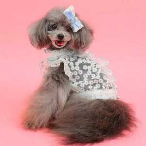 yGODPIVAzJ[t[tuEXmSbhson  hbOEFA Vc 킢  hJ 