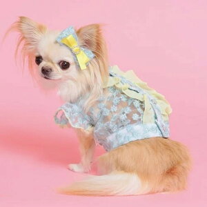 yGODPIVAzJ[t[tuEXmSbhson  hbOEFA Vc 킢  hJ 