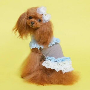 yGODPIVAzewc[Xs[XmSbhson  hbOEFA s  킢 