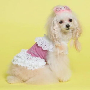 yGODPIVAzewc[Xs[XmSbhson  hbOEFA s  킢 