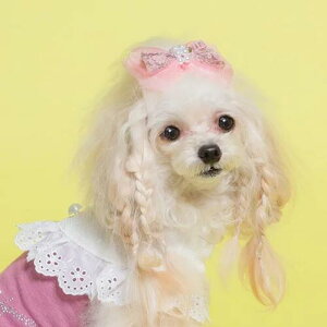 yGODPIVAzI[KW[t[ob^mSbhsonp wA ANZT[ ob^ ڂ 킢  т܂ɂ ؂ɂ