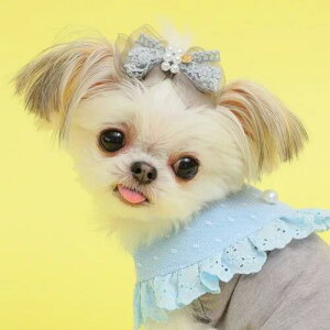 yGODPIVAzI[KW[t[ob^mSbhsonp wA ANZT[ ob^ ڂ 킢  т܂ɂ ؂ɂ