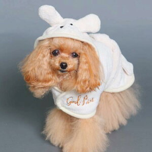 yGODPIVAzAj}oX[umSbhsonp oX[u C ^IhC z  }CNt@Co[f