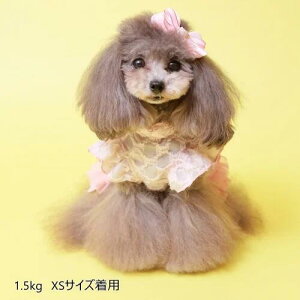 yGODPIVAztWts[XmSbhson  hbOEFA  킢 t VM[n 